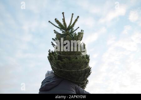 Junger Mann mit Tannenbaum gegen Himmel Stockfoto