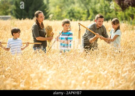 Kinder, die lernen, wie sie Weizen im Feld flattern Stockfoto