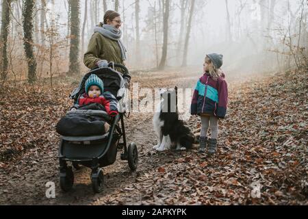 Mutter mit Töchtern und Grenzkollie bei Waldspaziergang im Herbst Stockfoto