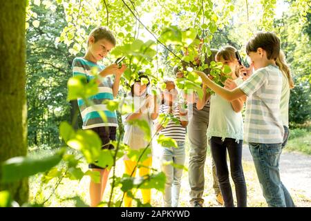 Schulkindern hinterlässt Examinig mit ihrem Lehrer einen Baum Stockfoto