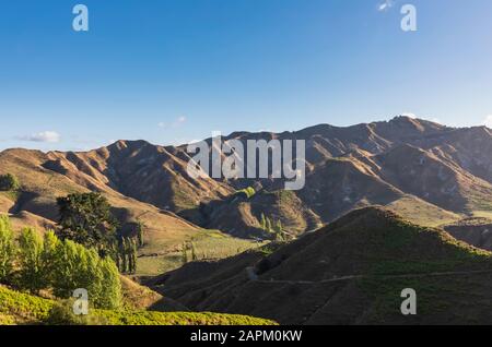 Neuseeland, Ozeanien, Nordinsel, Tongariro Nationalpark, Nordinsel, Landschaft entlang der River Road, Neuseeland State Highway 43 Stockfoto