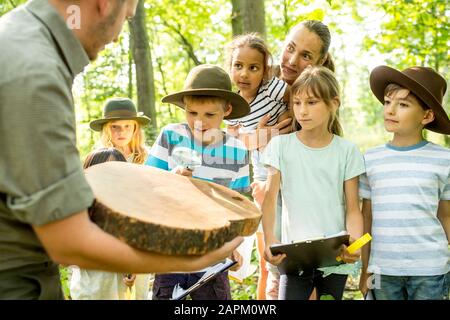 Schulkinder untersuchen Jahresringe eines Baumstammes Stockfoto