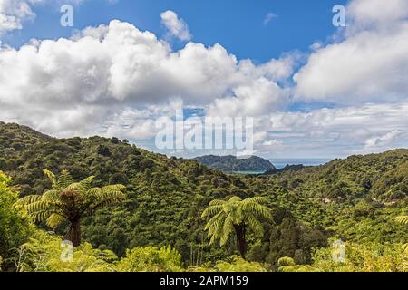 Neuseeland, Weiße Wolken über grünen tropischen Wäldern Stockfoto