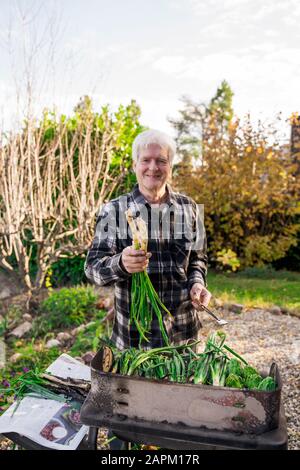 Porträt des stolzen Seniors, der hinter dem Grill steht und geerntete Lauch hält Stockfoto