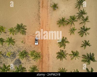 Benin, Luftaufnahme eines 4x4 Autos, das zwischen Palmen am sandigen Küstenstrand geparkt ist Stockfoto