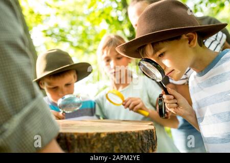 Schulkinder untersuchen Jahresringe eines Baumstammes Stockfoto