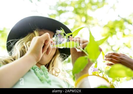 Schulmädchen-Examinig verlässt mit Lupe auf Baum Stockfoto