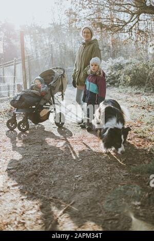 Mutter mit Töchtern und Grenzkollie bei Waldspaziergang im Herbst Stockfoto