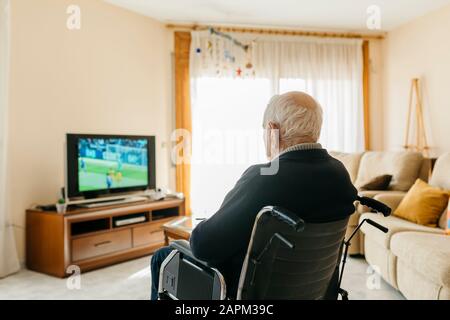 Rückansicht des älteren Mannes, der im Rollstuhl sitzt und zu Hause Fernsehen kann Stockfoto