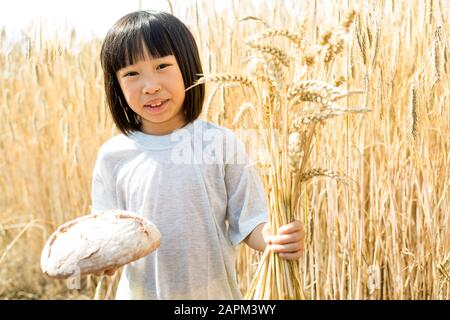 Kleines asiatisches Mädchen, das auf dem Feld steht und Brotlaib und Weizenähren hält Stockfoto