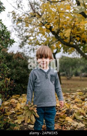 Porträt des kleinen Jungen, der im Herbst Blätter sammelt Stockfoto