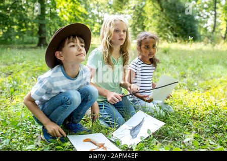 Schulkinder lernen, Tierarten im Wald zu unterscheiden Stockfoto