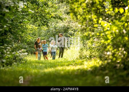 Schulkinder, die mit ihrem Lehrer im Wald spazieren Stockfoto