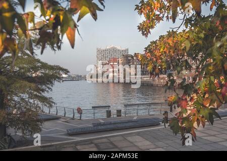 Deutschland, Hamburg, Marco Polo Terrassen im Herbst mit Elbe und Elbphilharmonie im Hintergrund Stockfoto