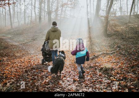 Mutter mit Kindern und Grenzkollie bei Waldspaziergang im Herbst Stockfoto