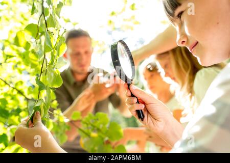 Schulkinder ziehen mit ihrer Lupe auf Baum Stockfoto