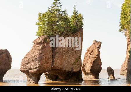 Berühmte Hopewell Rocks of Bay of Fundy bei Flut, New Brunswick, Kanada Stockfoto
