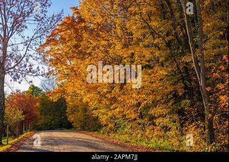 Schotterstraße an einem sonnigen Herbstmorgen in Stowe Vermont USA Stockfoto