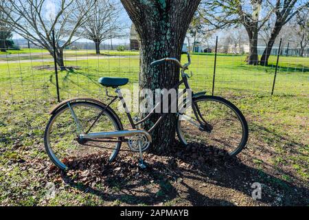 Altes getragenes Fahrrad, das an Baumstamm im ländlichen Texas Vorderhof-Rasen angelehnt ist Stockfoto