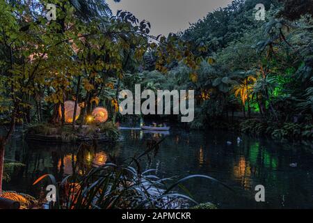Beleuchtete Kiwis auf dem Festival of Lights Stockfoto