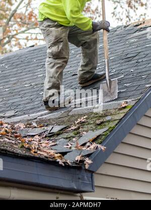 Arbeiter auf einem Dach verwenden ein spezielles Werkzeug, um alte Schindeln vom Dach eines Hauses zu entfernen Stockfoto