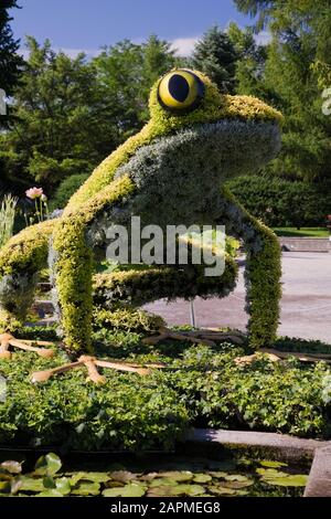 Lebende Pflanzenskulptur namens „Fragile Frogs“, die auf mit Erde gefüllten Metallmaschenformen mit verschiedenen Pflanzen, Gräsern und schleichenden Ivies gepflanzt wurde Stockfoto