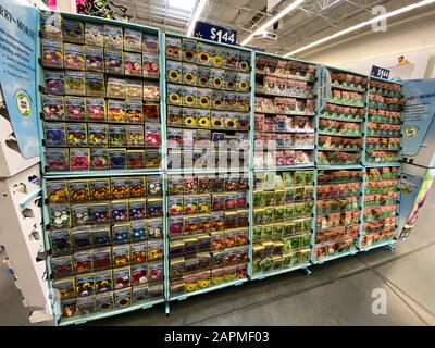 Orlando, FL/USA-1/23/20: Der Gartensaatgang in einem Walmart-Laden, der für Kunden bereit ist, Blumen, Obst und Gemüse in ihrem Gar zu kaufen und zu Pflanzen Stockfoto