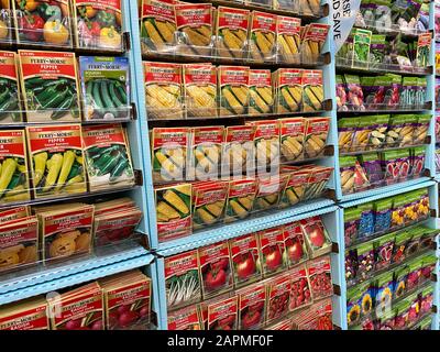 Orlando, FL/USA-1/23/20: Der Gartensaatgang in einem Walmart-Laden, der für Kunden bereit ist, Blumen, Obst und Gemüse in ihrem Gar zu kaufen und zu Pflanzen Stockfoto