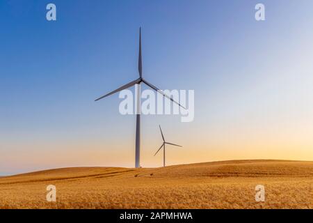Zwei Windkraftanlagen drehen sich um die Energieerzeugung inmitten eines Weizenfeldes. Erneuerbare Energiequellen Stockfoto