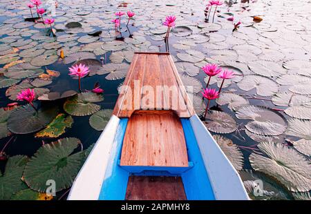 Thailändischen Longtail Boot bug Reisen in friedlichen Nong Harn voller Blüte rot Lotus Lake, Udonthani - Thailand. Holz- Boot in roten Seerosen lotus Meer. Stockfoto