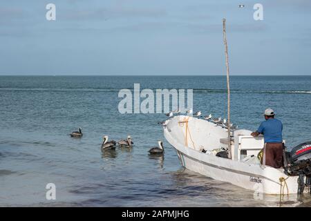 Fischer aus der Stadt Celestun, Yucatan in Mexiko Stockfoto