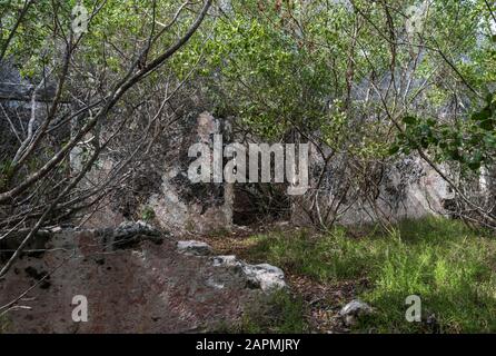 Alte Überreste der Exhacienda Real de Salinas, wo sie Salz herstellen. Bei Celestun im Bundesstaat Yucatan, Mexiko Stockfoto