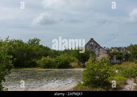 Alte Überreste der Exhacienda Real de Salinas, wo sie Salz herstellen. Bei Celestun im Bundesstaat Yucatan, Mexiko Stockfoto