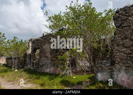 Alte Überreste der Exhacienda Real de Salinas, wo sie Salz herstellen. Bei Celestun im Bundesstaat Yucatan, Mexiko Stockfoto