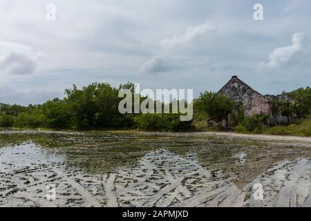 Alte Überreste der Exhacienda Real de Salinas, wo sie Salz herstellen. Bei Celestun im Bundesstaat Yucatan, Mexiko Stockfoto