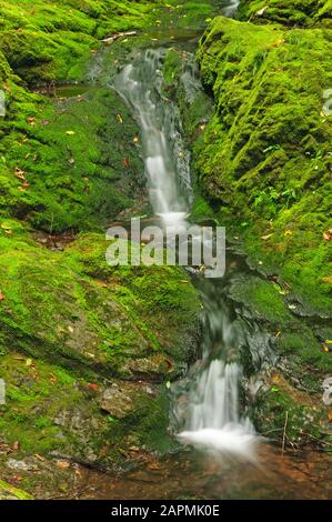 Lower Dickson Falls im Fundy National Park Stockfoto