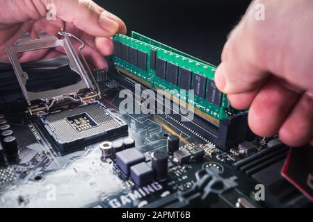 Elektronik Ingenieur der Computertechnologie. Wartung hardware Aufrüsten von Motherboard, der Ram auf der Hauptplatine des Computers. Konzept Stockfoto