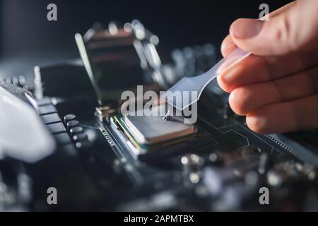 Technischer Support Mitarbeiter schmiert mit einem Computerprozessor mit Wärmeleitpaste. Wärmeleitpaste auf PC-CPU. Kühlungskonzept. Stockfoto