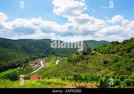 Burgruine Senftenberg, Senftenberg, Kremstal, Wachau, Oberösterreich Stockfoto