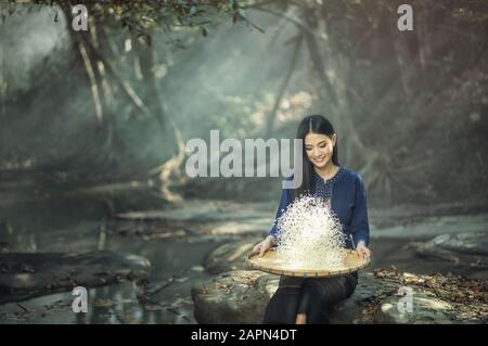 Asiatische Frauen, die Reis winning, trennen sich zwischen Reis und Reisschäler auf der Landschaft von Laos Stockfoto