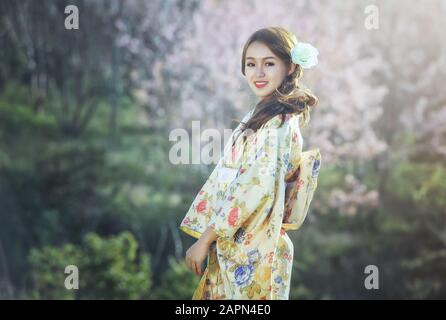 Asiatische Frauen tragen traditionellen japanischen Kimono im himalaya-sakura-Garten Stockfoto