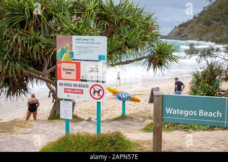 Byron Bay Wategos Strand und Pinienbaum in Byron Bay Sanctuary Cove, Northern New South Wales, Australien Stockfoto