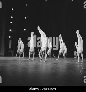 40. Jahrestag der Akademie Für Leibeserziehung in Amsterdam Vorstellung des Demonstrationsteams im Kongressgebäude Datum: 24. Oktober 1965 Standort: Amsterdam, Noord-Holland Schlüsselwörter: Demonstrationen, Jahrestage, Leibeserziehung, Bildung, Turnen Stockfoto