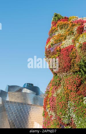 Welpe von Jeff Koons, einem großen Blumenhund vor dem Eingang zum Guggenheim in Bilbao, Spanien Stockfoto