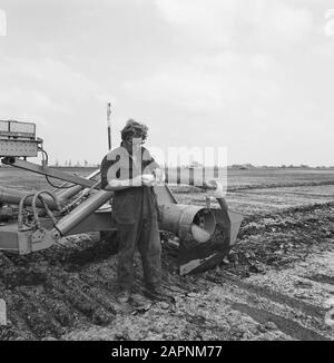 Werk, Maschinen, Land Datum: 14. Juni 1972 Standort: Alkmaar, Noord-Holland Schlüsselwörter: Boden, Maschinen, Name der Arbeitseinrichtung: Willnerploeg Stockfoto