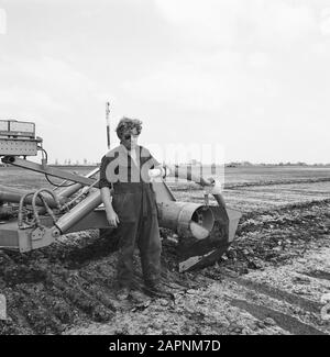 Werk, Maschinen, Land Datum: 14. Juni 1972 Standort: Alkmaar, Noord-Holland Schlüsselwörter: Boden, Maschinen, Name der Arbeitseinrichtung: Willnerploeg Stockfoto