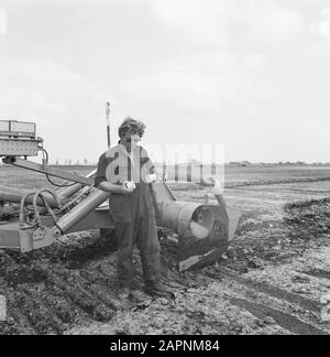 Werk, Maschinen, Land Datum: 14. Juni 1972 Standort: Alkmaar, Noord-Holland Schlüsselwörter: Boden, Maschinen, Name der Arbeitseinrichtung: Willnerploeg Stockfoto