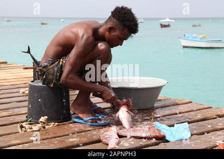Lokale Fischer, die auf traditionelle Weise auf dem Fischmarkt auf dem Pier in Santa Maria, Sal, Kap Verde Fisch ausschneiden und zubereiten Stockfoto