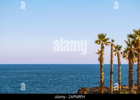 Sommer 2020, Palmen mit blauem Meer im Hintergrund Stockfoto