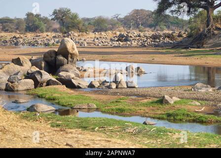 Einige Wasserflecken verbleiben während der Trockenzeit im Ruaha River Stockfoto